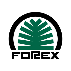 Forex