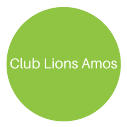 Club Lions Amos